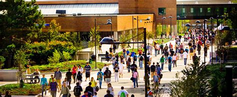 ub student hub.